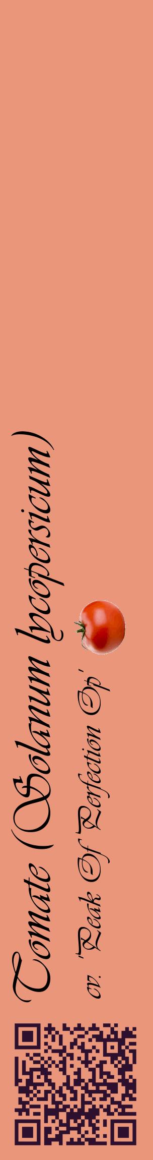 Étiquette de : Solanum lycopersicum cv. 'Peak Of Perfection Op' - format c - style noire37_basiqueviv avec qrcode et comestibilité simplifiée