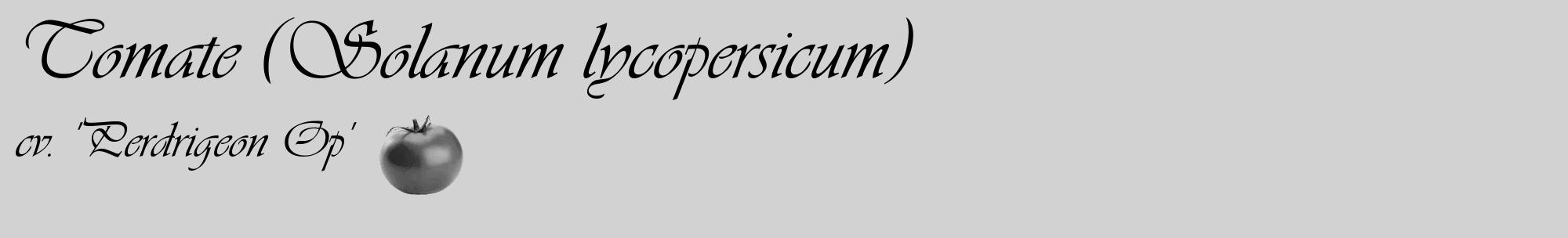Étiquette de : Solanum lycopersicum cv. 'Perdrigeon Op' - format c - style noire14_basique_basiqueviv avec comestibilité simplifiée