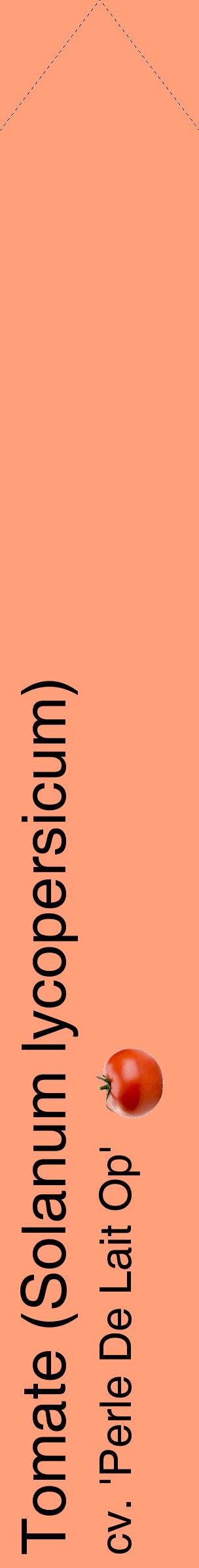 Étiquette de : Solanum lycopersicum cv. 'Perle De Lait Op' - format c - style noire39_simplehel avec comestibilité simplifiée