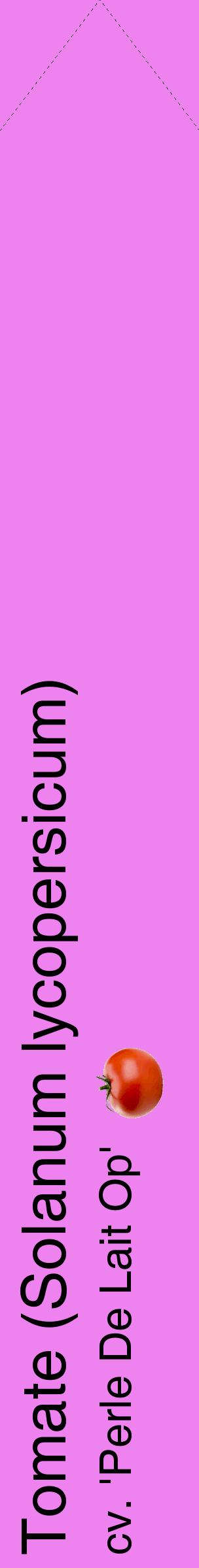 Étiquette de : Solanum lycopersicum cv. 'Perle De Lait Op' - format c - style noire53_simplehel avec comestibilité simplifiée