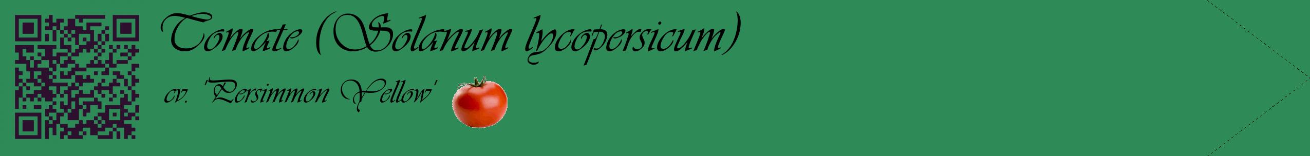 Étiquette de : Solanum lycopersicum cv. 'Persimmon Yellow' - format c - style noire11simple_basique_basiqueviv avec qrcode et comestibilité simplifiée