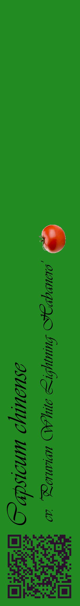 Étiquette de : Capsicum chinense cv. 'Peruvian White Lightning Habanero' - format c - style noire10_basiqueviv avec qrcode et comestibilité simplifiée
