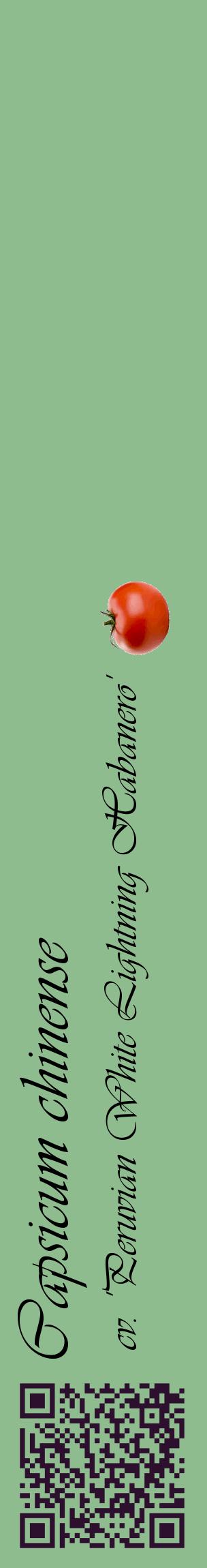 Étiquette de : Capsicum chinense cv. 'Peruvian White Lightning Habanero' - format c - style noire13_basiqueviv avec qrcode et comestibilité simplifiée