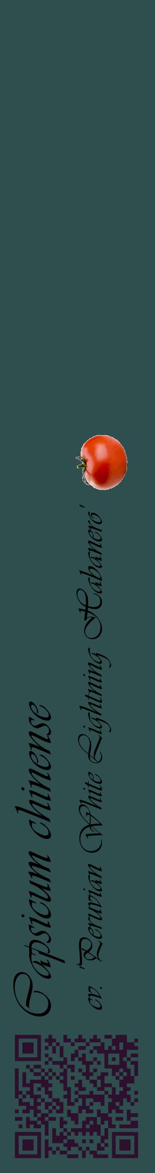 Étiquette de : Capsicum chinense cv. 'Peruvian White Lightning Habanero' - format c - style noire58_basiqueviv avec qrcode et comestibilité simplifiée