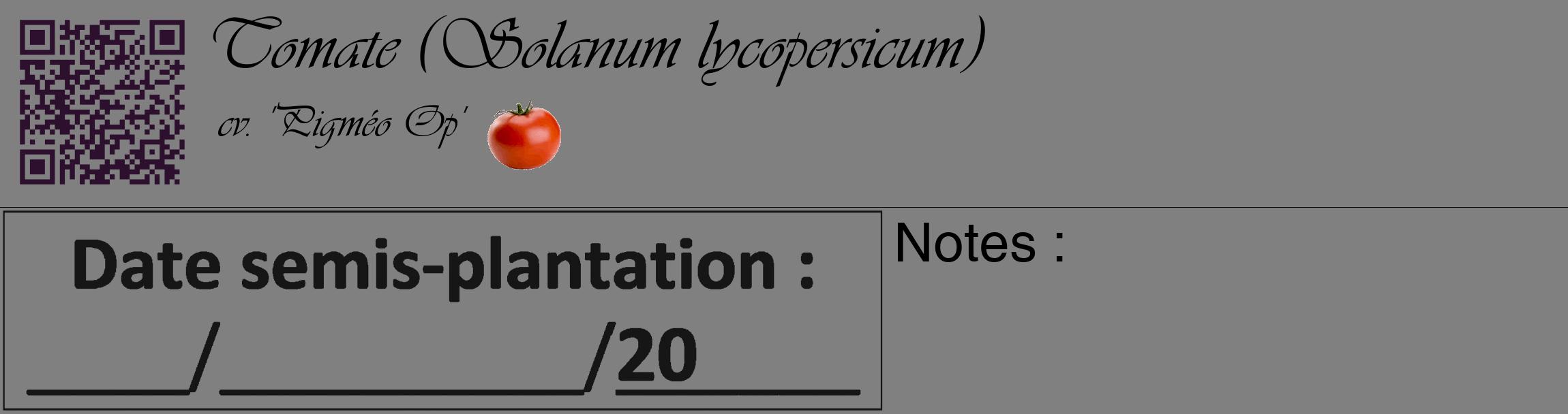Étiquette de : Solanum lycopersicum cv. 'Pigméo Op' - format c - style noire57_basique_basiqueviv avec qrcode et comestibilité simplifiée