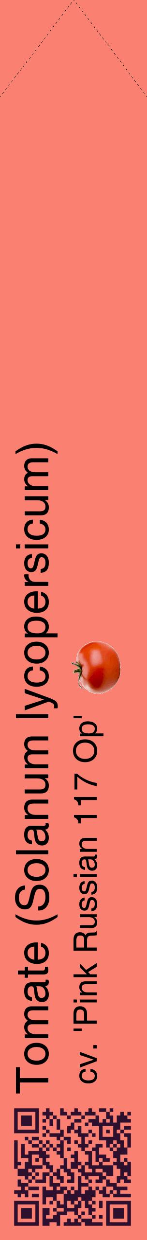 Étiquette de : Solanum lycopersicum cv. 'Pink Russian 117 Op' - format c - style noire38_simplehel avec qrcode et comestibilité simplifiée