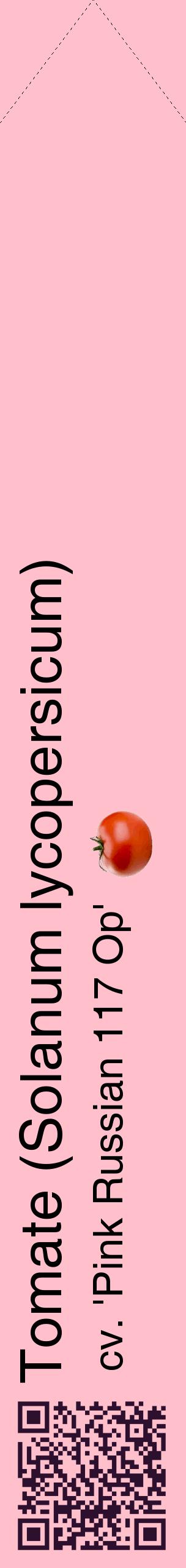 Étiquette de : Solanum lycopersicum cv. 'Pink Russian 117 Op' - format c - style noire40_simplehel avec qrcode et comestibilité simplifiée