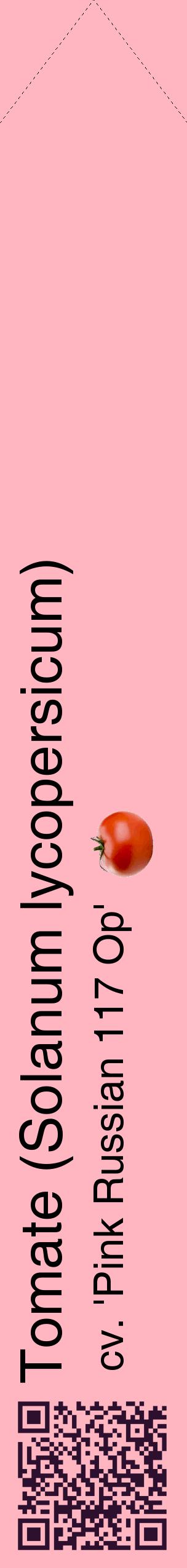 Étiquette de : Solanum lycopersicum cv. 'Pink Russian 117 Op' - format c - style noire41_simplehel avec qrcode et comestibilité simplifiée