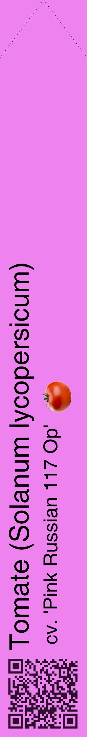 Étiquette de : Solanum lycopersicum cv. 'Pink Russian 117 Op' - format c - style noire53_simplehel avec qrcode et comestibilité simplifiée