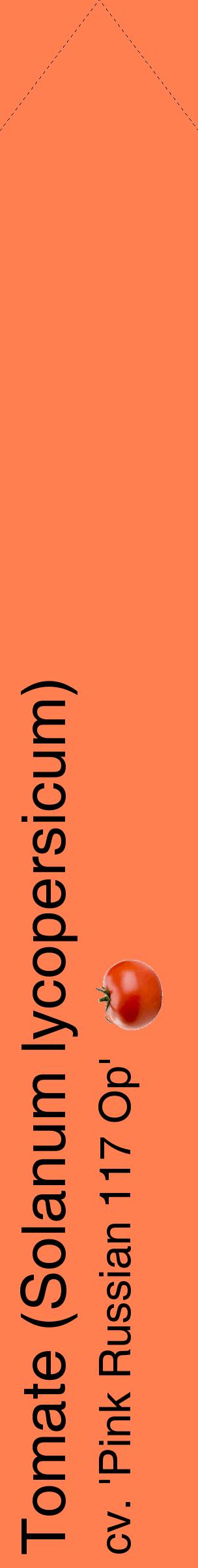 Étiquette de : Solanum lycopersicum cv. 'Pink Russian 117 Op' - format c - style noire24_simplehel avec comestibilité simplifiée