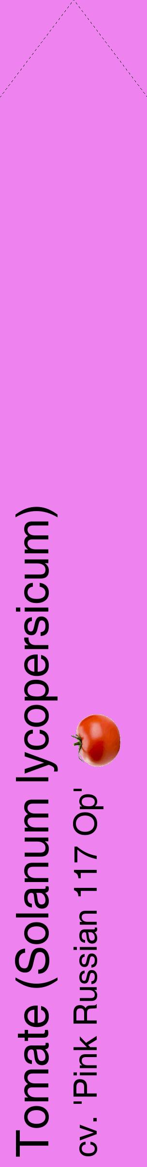 Étiquette de : Solanum lycopersicum cv. 'Pink Russian 117 Op' - format c - style noire53_simplehel avec comestibilité simplifiée