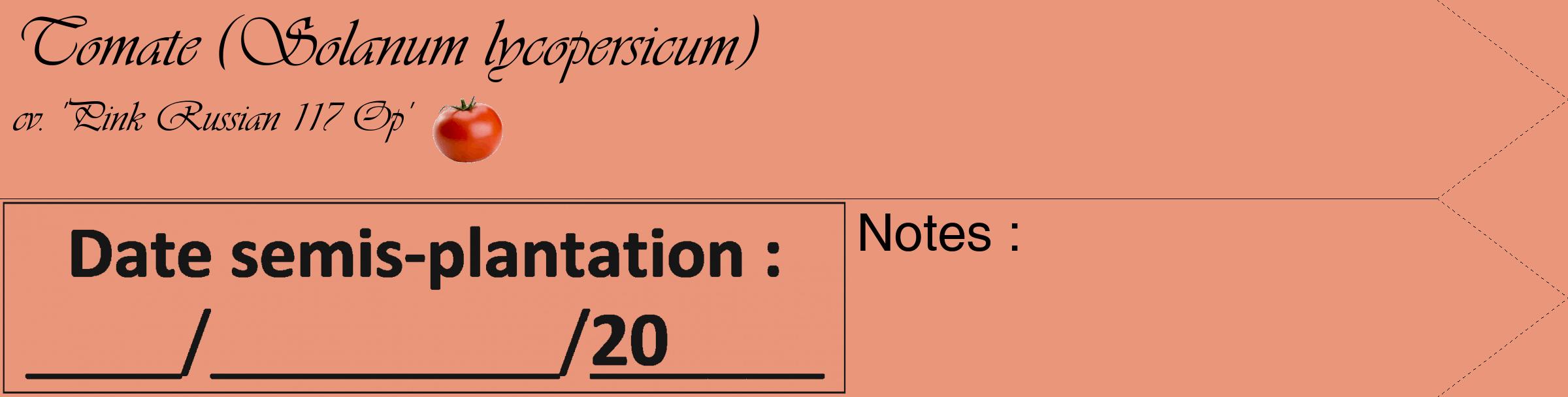Étiquette de : Solanum lycopersicum cv. 'Pink Russian 117 Op' - format c - style noire37_simple_simpleviv avec comestibilité simplifiée