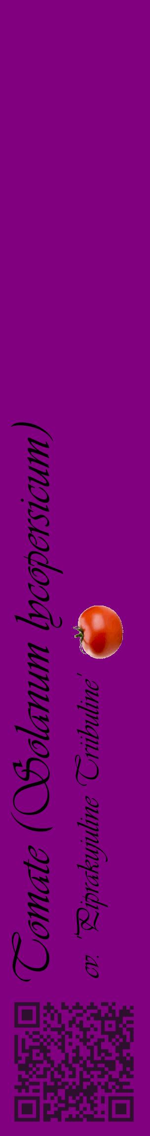 Étiquette de : Solanum lycopersicum cv. 'Piprakujuline Triibuline' - format c - style noire46_basiqueviv avec qrcode et comestibilité simplifiée