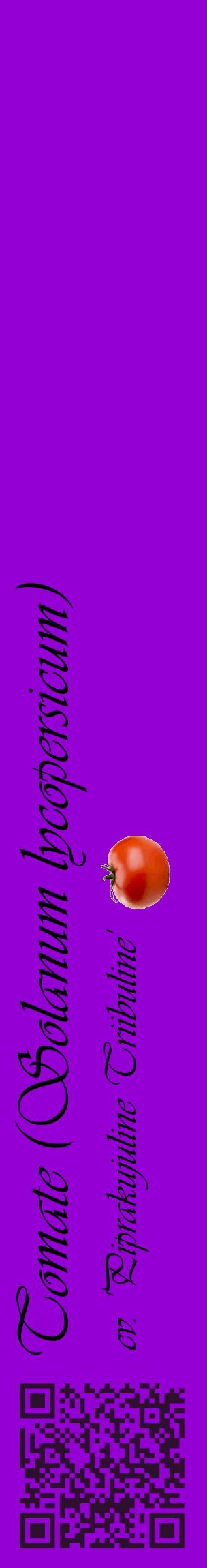 Étiquette de : Solanum lycopersicum cv. 'Piprakujuline Triibuline' - format c - style noire48_basiqueviv avec qrcode et comestibilité simplifiée