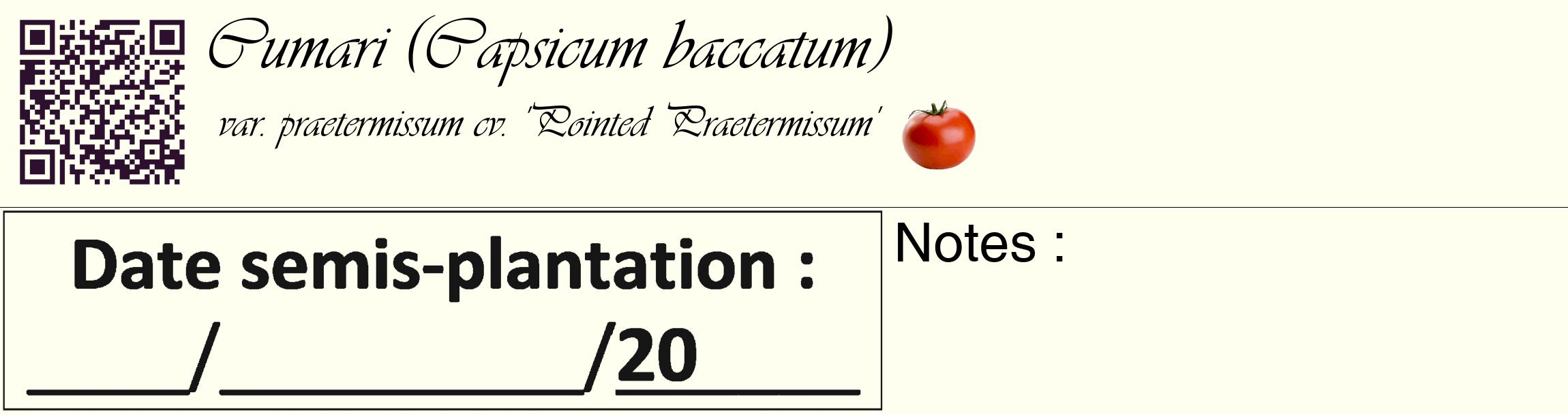 Étiquette de : Capsicum baccatum var. praetermissum cv. 'Pointed Praetermissum' - format c - style noire19_basique_basiqueviv avec qrcode et comestibilité simplifiée