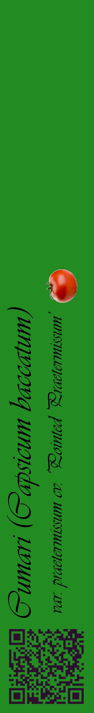 Étiquette de : Capsicum baccatum var. praetermissum cv. 'Pointed Praetermissum' - format c - style noire10_basiqueviv avec qrcode et comestibilité simplifiée