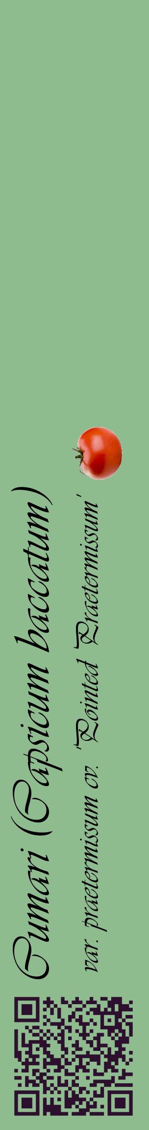 Étiquette de : Capsicum baccatum var. praetermissum cv. 'Pointed Praetermissum' - format c - style noire13_basiqueviv avec qrcode et comestibilité simplifiée