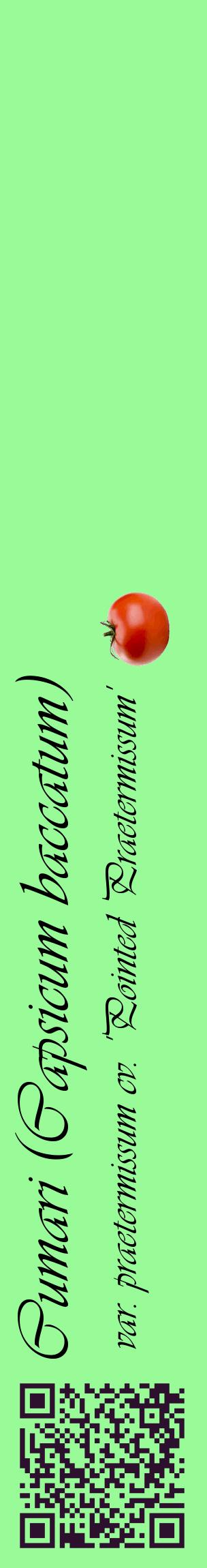 Étiquette de : Capsicum baccatum var. praetermissum cv. 'Pointed Praetermissum' - format c - style noire14_basiqueviv avec qrcode et comestibilité simplifiée