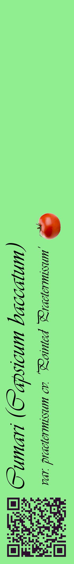 Étiquette de : Capsicum baccatum var. praetermissum cv. 'Pointed Praetermissum' - format c - style noire15_basiqueviv avec qrcode et comestibilité simplifiée