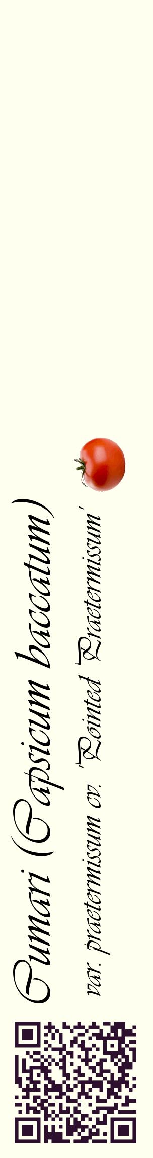 Étiquette de : Capsicum baccatum var. praetermissum cv. 'Pointed Praetermissum' - format c - style noire19_basiqueviv avec qrcode et comestibilité simplifiée