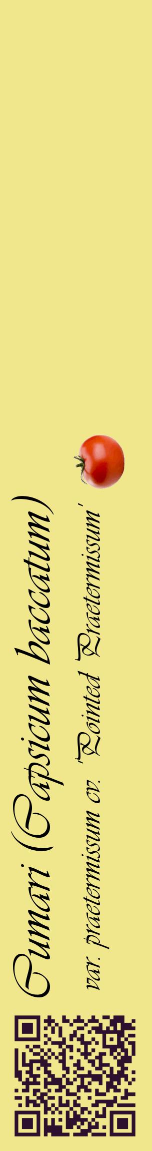 Étiquette de : Capsicum baccatum var. praetermissum cv. 'Pointed Praetermissum' - format c - style noire20_basiqueviv avec qrcode et comestibilité simplifiée