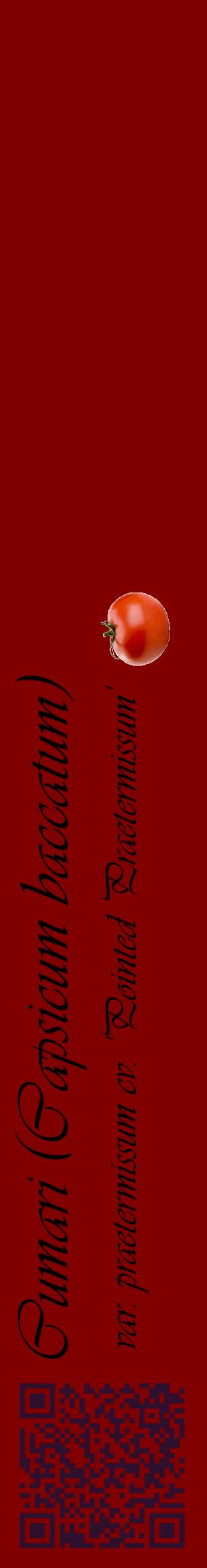 Étiquette de : Capsicum baccatum var. praetermissum cv. 'Pointed Praetermissum' - format c - style noire29_basiqueviv avec qrcode et comestibilité simplifiée