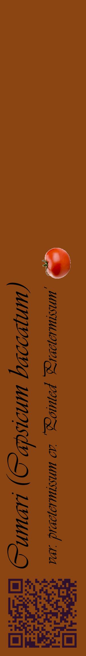 Étiquette de : Capsicum baccatum var. praetermissum cv. 'Pointed Praetermissum' - format c - style noire30_basique_basiqueviv avec qrcode et comestibilité simplifiée - position verticale
