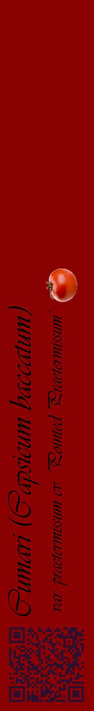 Étiquette de : Capsicum baccatum var. praetermissum cv. 'Pointed Praetermissum' - format c - style noire34_basiqueviv avec qrcode et comestibilité simplifiée