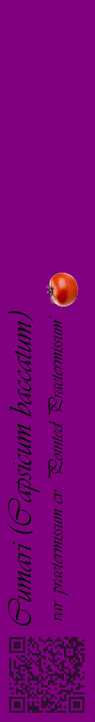 Étiquette de : Capsicum baccatum var. praetermissum cv. 'Pointed Praetermissum' - format c - style noire46_basiqueviv avec qrcode et comestibilité simplifiée