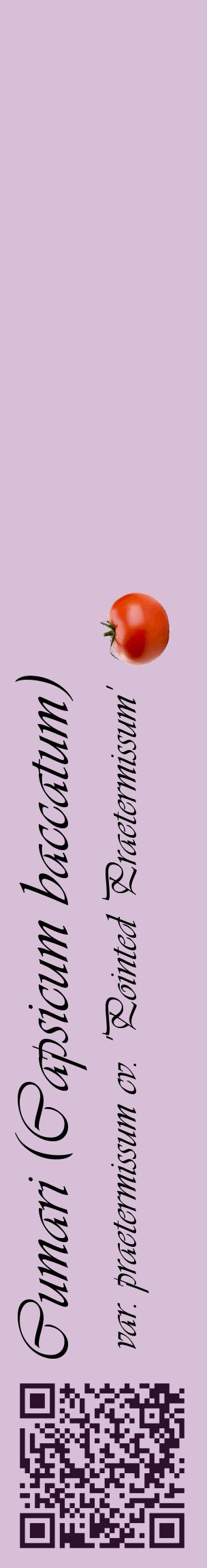 Étiquette de : Capsicum baccatum var. praetermissum cv. 'Pointed Praetermissum' - format c - style noire54_basique_basiqueviv avec qrcode et comestibilité simplifiée - position verticale