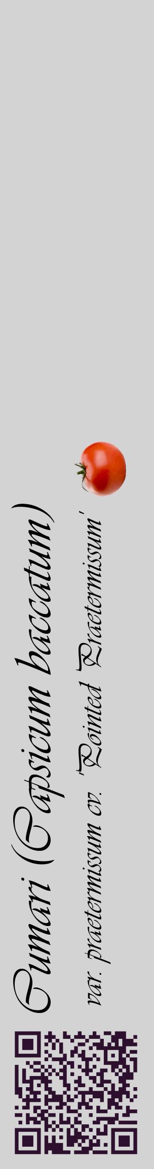 Étiquette de : Capsicum baccatum var. praetermissum cv. 'Pointed Praetermissum' - format c - style noire56_basiqueviv avec qrcode et comestibilité simplifiée