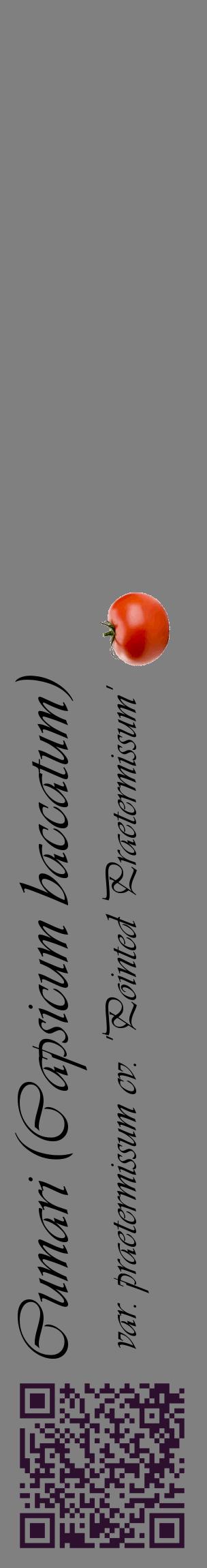 Étiquette de : Capsicum baccatum var. praetermissum cv. 'Pointed Praetermissum' - format c - style noire57_basiqueviv avec qrcode et comestibilité simplifiée