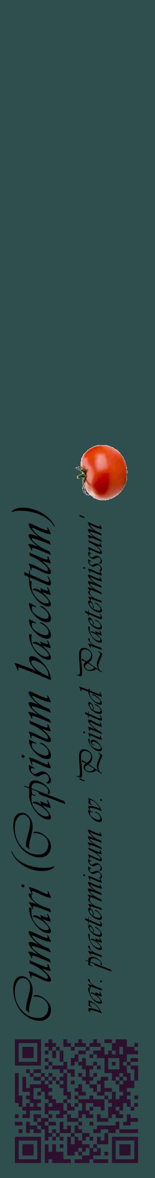 Étiquette de : Capsicum baccatum var. praetermissum cv. 'Pointed Praetermissum' - format c - style noire58_basiqueviv avec qrcode et comestibilité simplifiée