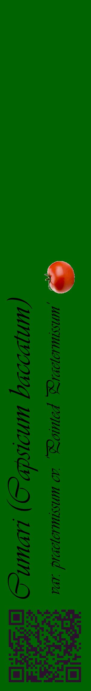 Étiquette de : Capsicum baccatum var. praetermissum cv. 'Pointed Praetermissum' - format c - style noire8_basiqueviv avec qrcode et comestibilité simplifiée