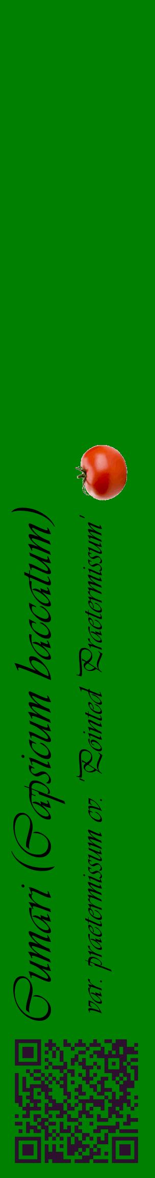 Étiquette de : Capsicum baccatum var. praetermissum cv. 'Pointed Praetermissum' - format c - style noire9_basiqueviv avec qrcode et comestibilité simplifiée