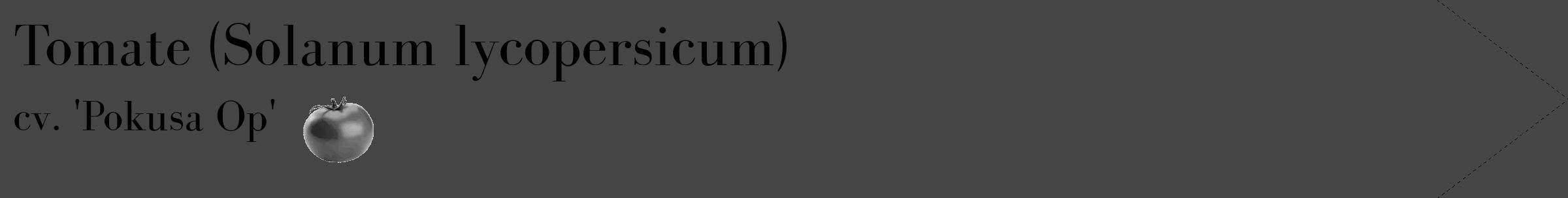 Étiquette de : Solanum lycopersicum cv. 'Pokusa Op' - format c - style noire58_simple_simplebod avec comestibilité simplifiée