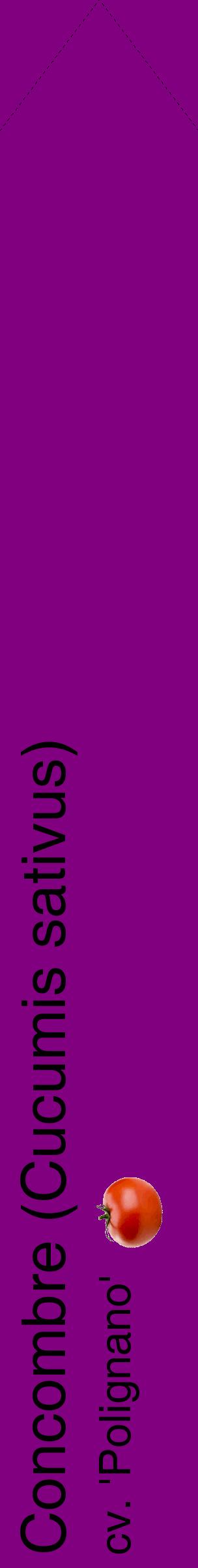 Étiquette de : Cucumis sativus cv. 'Polignano' - format c - style noire46_simplehel avec comestibilité simplifiée