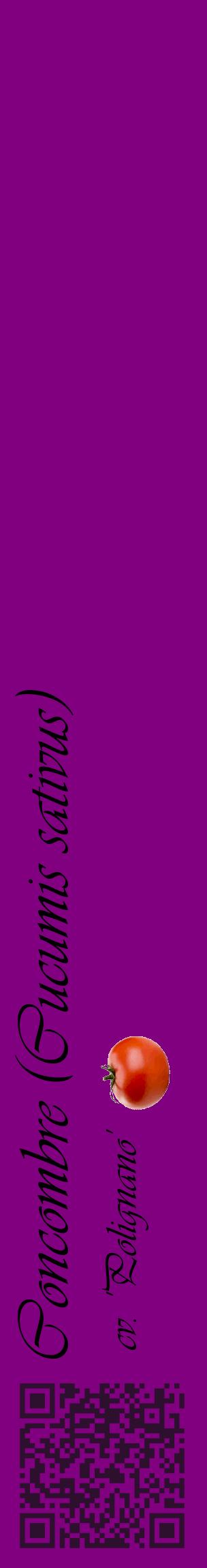 Étiquette de : Cucumis sativus cv. 'Polignano' - format c - style noire46_basiqueviv avec qrcode et comestibilité simplifiée