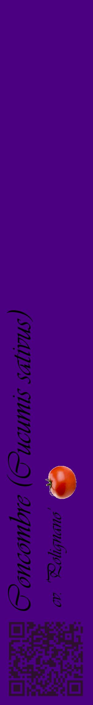 Étiquette de : Cucumis sativus cv. 'Polignano' - format c - style noire47_basiqueviv avec qrcode et comestibilité simplifiée
