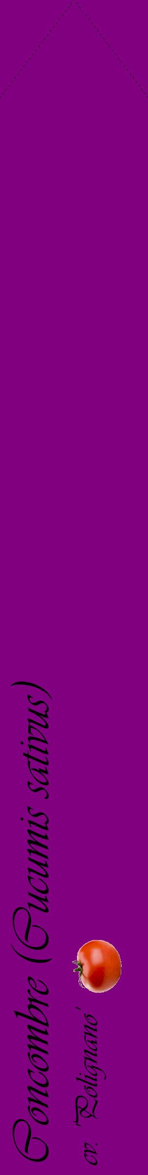 Étiquette de : Cucumis sativus cv. 'Polignano' - format c - style noire46_simpleviv avec comestibilité simplifiée