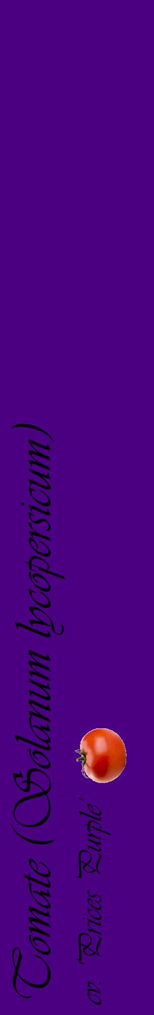 Étiquette de : Solanum lycopersicum cv. 'Prices Purple' - format c - style noire47_basiqueviv avec comestibilité simplifiée