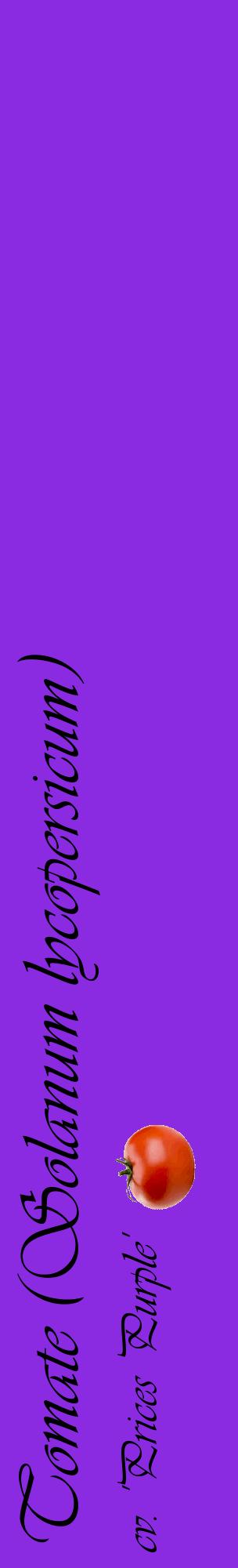 Étiquette de : Solanum lycopersicum cv. 'Prices Purple' - format c - style noire49_basiqueviv avec comestibilité simplifiée