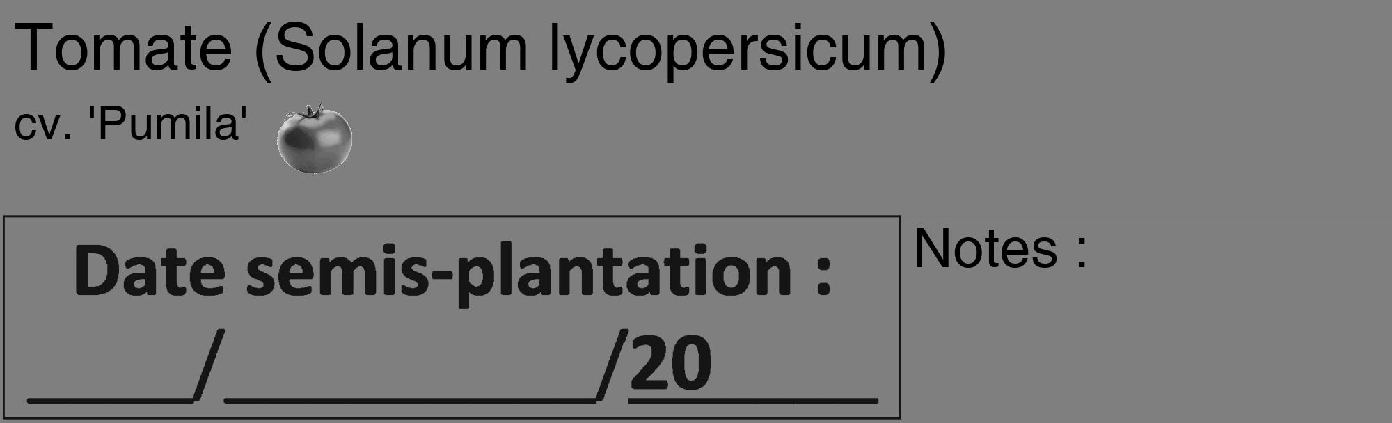 Étiquette de : Solanum lycopersicum cv. 'Pumila' - format c - style noire31_basique_basiquehel avec comestibilité simplifiée