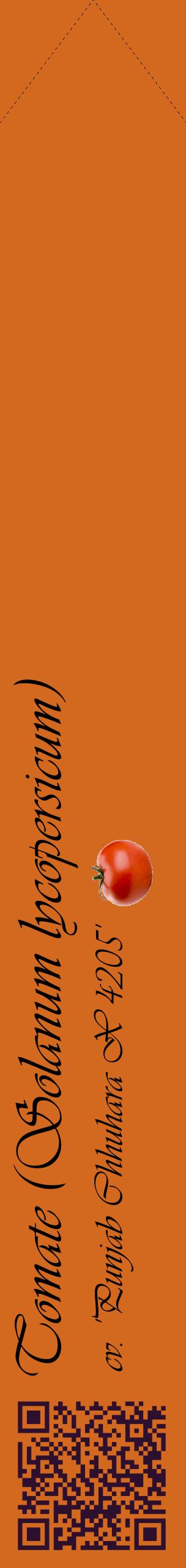 Étiquette de : Solanum lycopersicum cv. 'Punjab Chhuhara X 4205' - format c - style noire31_simpleviv avec qrcode et comestibilité simplifiée