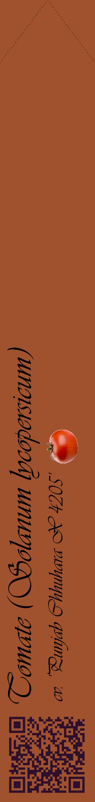 Étiquette de : Solanum lycopersicum cv. 'Punjab Chhuhara X 4205' - format c - style noire32_simpleviv avec qrcode et comestibilité simplifiée