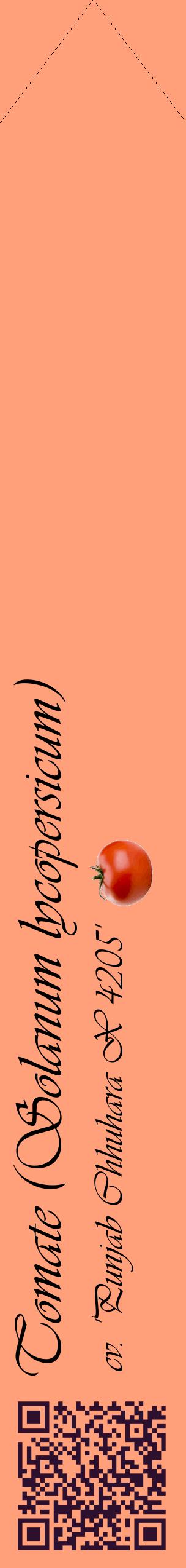 Étiquette de : Solanum lycopersicum cv. 'Punjab Chhuhara X 4205' - format c - style noire39_simpleviv avec qrcode et comestibilité simplifiée