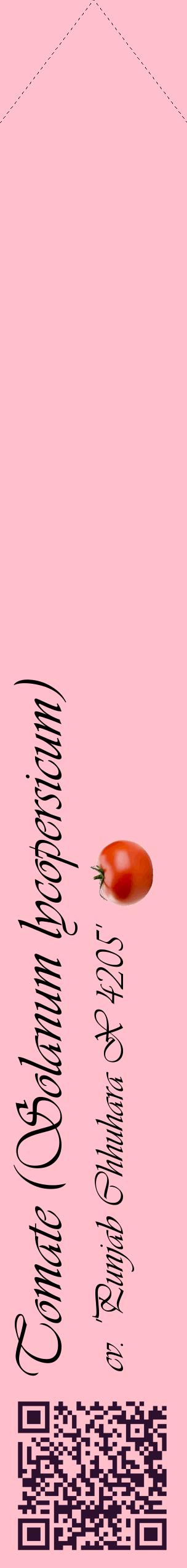 Étiquette de : Solanum lycopersicum cv. 'Punjab Chhuhara X 4205' - format c - style noire40_simpleviv avec qrcode et comestibilité simplifiée