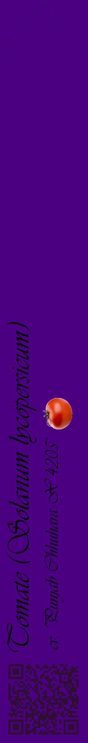Étiquette de : Solanum lycopersicum cv. 'Punjab Chhuhara X 4205' - format c - style noire47_simpleviv avec qrcode et comestibilité simplifiée