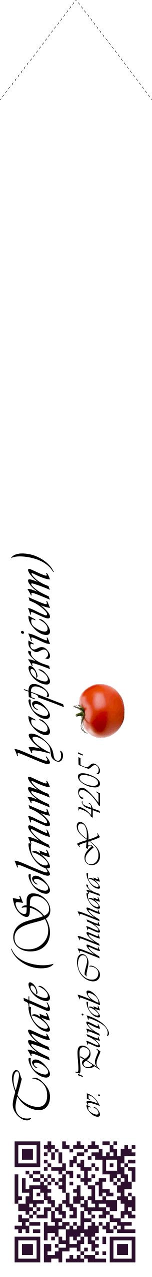 Étiquette de : Solanum lycopersicum cv. 'Punjab Chhuhara X 4205' - format c - style noire60_simpleviv avec qrcode et comestibilité simplifiée