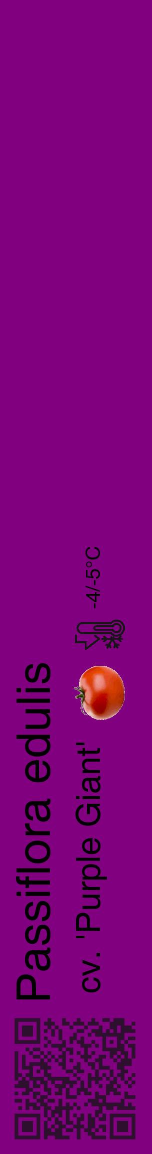 Étiquette de : Passiflora edulis cv. 'Purple Giant' - format c - style noire46_basique_basiquehel avec qrcode et comestibilité simplifiée - position verticale